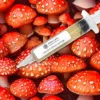 Amanita Muscaria (Fly Agaric) Liquid Culture Syringe