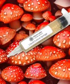 Amanita Muscaria (Fly Agaric) Liquid Culture Syringe