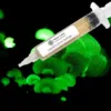 Bioluminescence Panellus Stipticus Liquid Culture Syringe