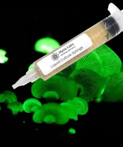 Bioluminescence Panellus Stipticus Liquid Culture Syringe