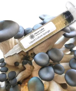 Blue Oyster Liquid Culture Syringe