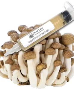 Brown Beech Liquid Culture Syringe