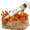 Cordyceps Militaris Mushroom Liquid Culture Syringe HIGHMILE22A Strain