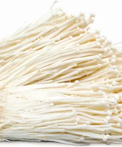 White Enoki (Enokitake) Liquid Culture Syringe