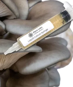 King Blue Oyster Liquid Culture Syringe