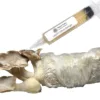 King Trumpet Oyster Liquid Culture Syringe