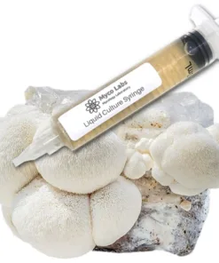 Lion's Mane Liquid Culture Syringe