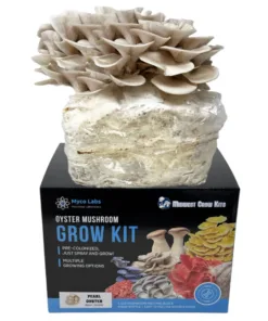 Pearl Oyster Liquid Culture Syringe