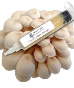 Pearl Oyster Liquid Culture Syringe
