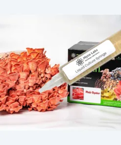 Pink Oyster Liquid Culture Syringe