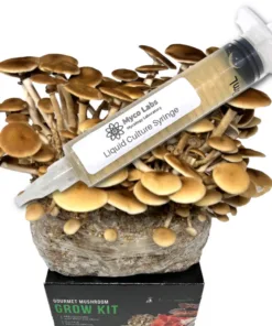 Pioppino Black Poplar Liquid Culture Syringe