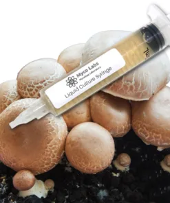 Portobello Liquid Culture Syringe