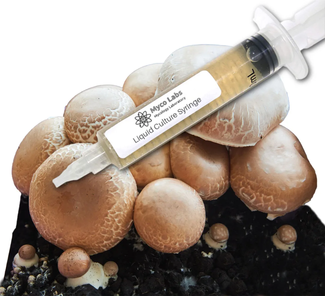 Portobello Liquid Culture Syringe