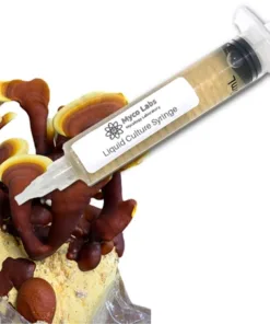 Red Reishi Liquid Culture Syringe