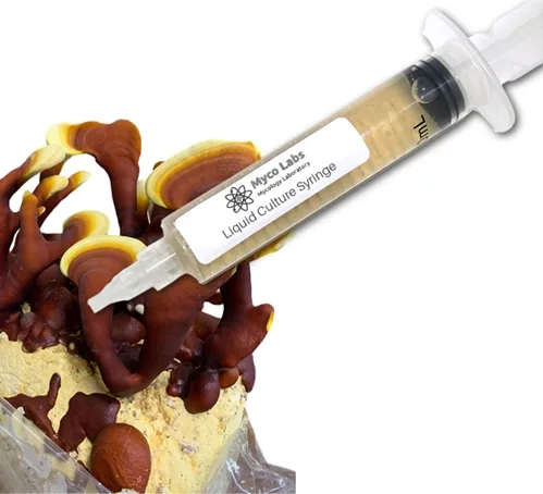Red Reishi Liquid Culture Syringe