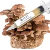 Shiitake Liquid Culture Syringe