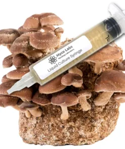 Shiitake Liquid Culture Syringe