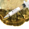 Turkey Tail Liquid Culture Syringe