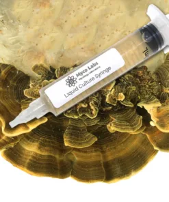 Turkey Tail Liquid Culture Syringe