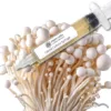 White Enoki (Enokitake) Liquid Culture Syringe