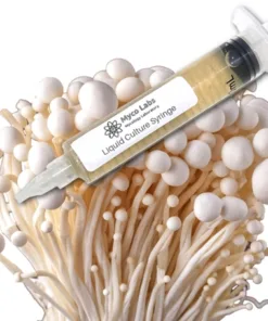 White Enoki (Enokitake) Liquid Culture Syringe