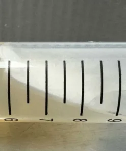Live Mushroom Culture on Agar Slant