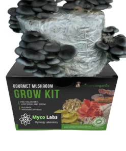 Black Pearl King Oyster Liquid Culture Syringe