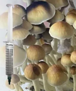 Lizard King Spore Syringe