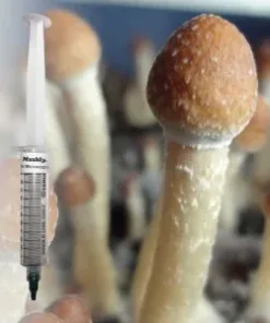 John Allen Spore Syringe