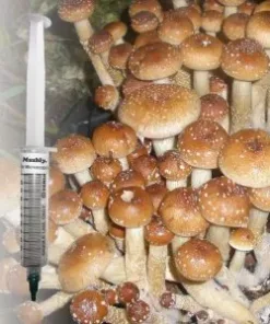 Creeper Spore Syringe