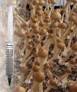 Florida White (F+) Spore Syringe