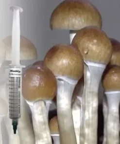 Z Strain Spore Syringe